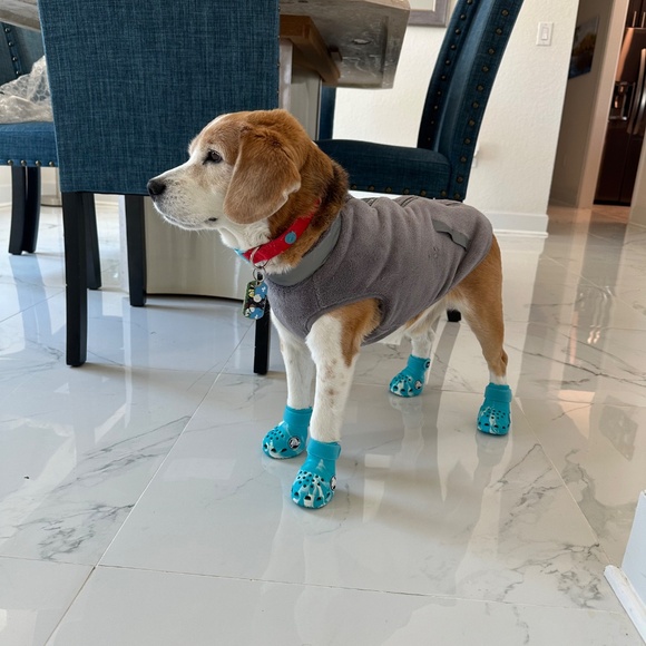 Bark Crocs - Picture 3 of 4